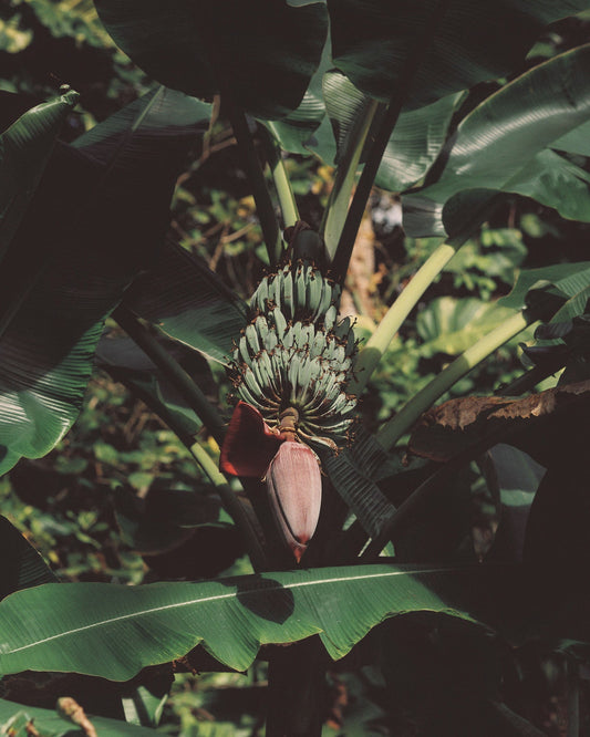 TRIP: with Photographer Jordan Malane